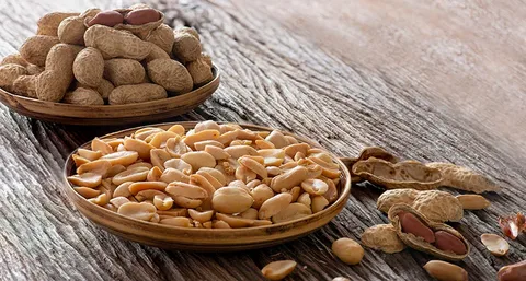 تصویر 4 از خرید بادام زمینی آجیلی + قیمت فروش استثنایی